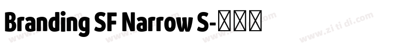Branding SF Narrow S字体转换